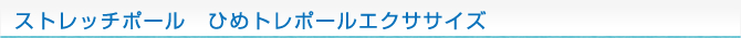 ストレッチポール　ひめトレポールエクササイズ